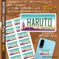 オリジナルステッカー アリゾナナンバープレート（ミニ）【文字入れ無料】